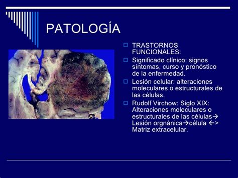 1.2 patología celular1