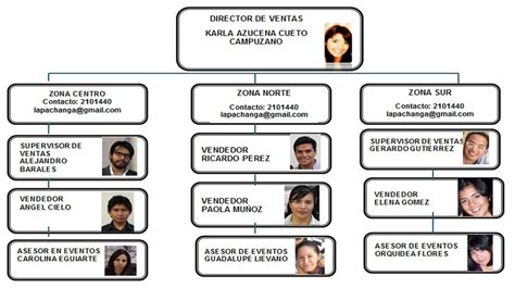 1.4. Organigrama del departamento comercial   LA PACHANGA