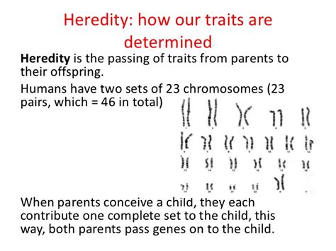 1. Genetics and heredity