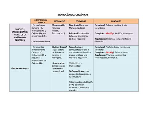 1º Medio 2011   Cuadro Biomoléculas Orgánicas