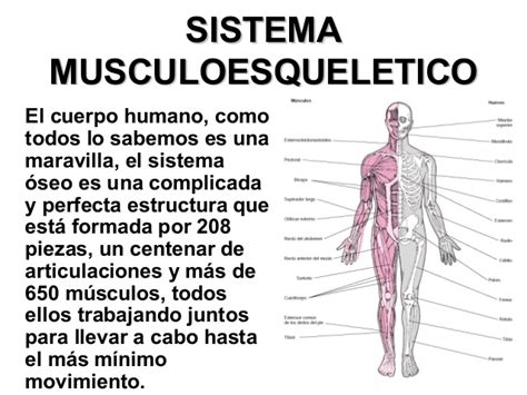 1. trastornos y lesiones del sistema musculoesqueletico