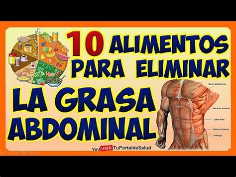 10 ALIMENTOS PARA REDUCIR LA GRASA DEL ABDOMEN   Dieta ...