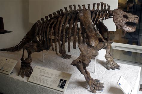 10 Animales prehistoricos que habitaron la tierra ...