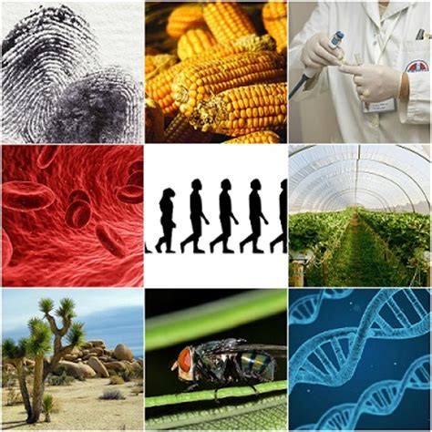 10 Aplicaciones de la Biología en la Vida Cotidiana   Lifeder