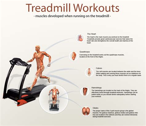 10 Beneficial Facts About Treadmill Workouts