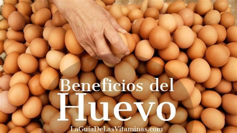 10 Beneficios del Huevo   La Guía de las Vitaminas