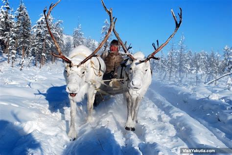 10 Cool Facts About Siberia | Breathtaking Russian ...