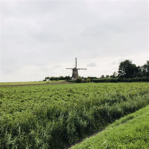 10 cosas que hacer en Holanda en una semana | CVØ+