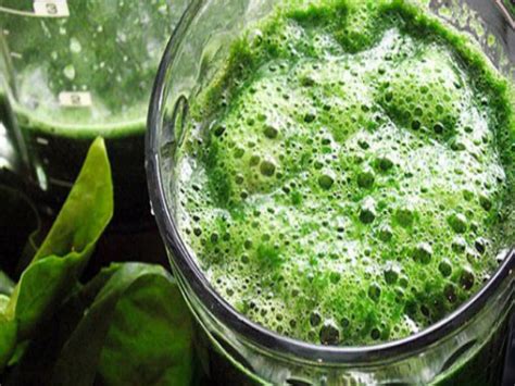 10 cosas que no sabías del alga espirulina | Salud180