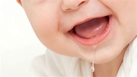 10 curiosidades de la saliva | elsalvador.com