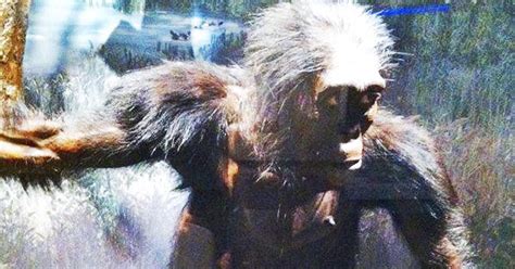 10 Descubrimientos recientes sobre el hombre prehistórico ...
