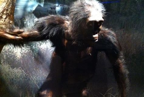 10 Descubrimientos recientes sobre el hombre prehistórico ...