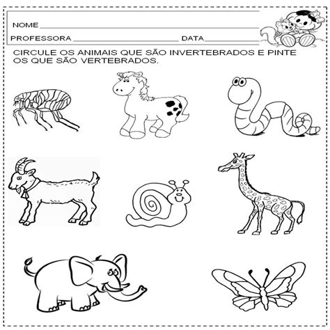 10+ Dibujos Para Colorear De Animales Invertebrados Y ...