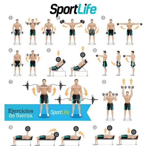 10 ejercicios básicos con pesas | Sport Life