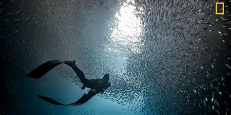10 entries from National Geographic Travel Photographer of ...