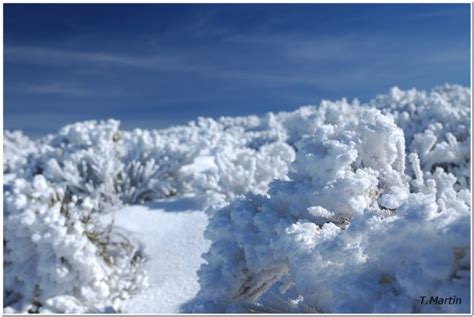 10 espectaculares paisajes nevados de Castilla y León