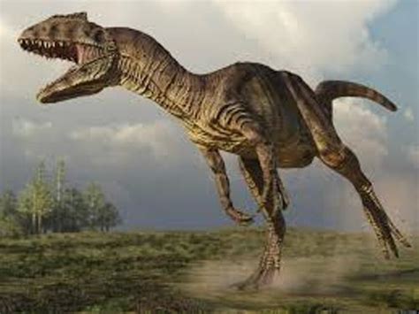 10 Facts about Allosaurus | Fact File