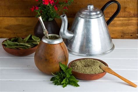 10 Health Benefits of Yerba Mate Tea  Better Than Coffee ...