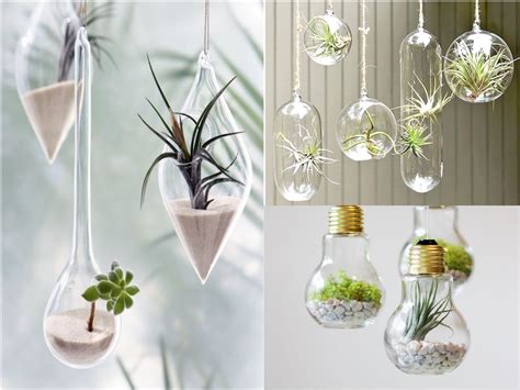 10 ideas de decoración con plantas colgantes