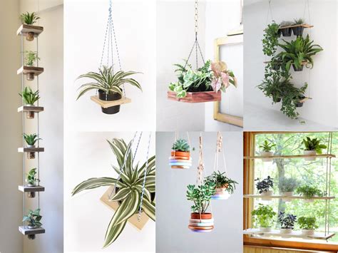 10 ideas de decoración con plantas colgantes