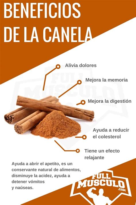 +10 Increíbles Propiedades y Beneficios De La Canela ...