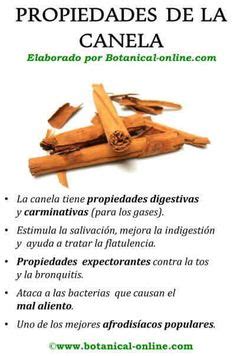 10 Increibles Propiedades y Beneficios de la Sabila | Aloe ...