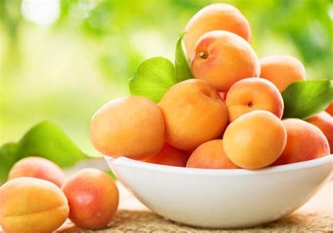 10 incríveis beneficios da fruta damasco para a saúde