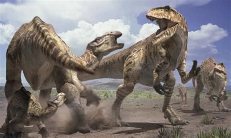 10 misterios sobre los dinosaurios aún no resueltos por ...