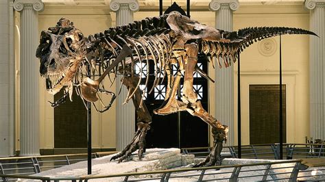 10 of the world s best dinosaur museums   CNN.com