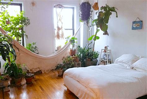 10 Plants For Your Bedroom That Will Improve Sleep Quality ...