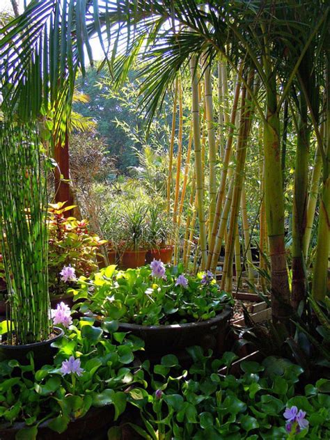 10 tipos de jardín y sus características | Plantas