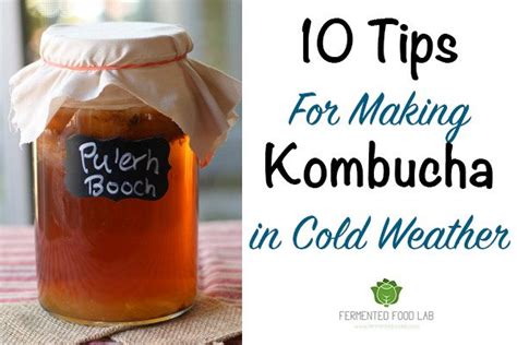 10 Tips For Making Kombucha In Cold Weather   Fermented ...