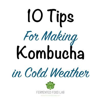 10 Tips For Making Kombucha In Cold Weather   Fermented ...