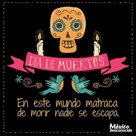 100 frases de Día de Muertos | México Desconocido