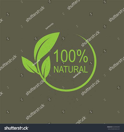 100 Natural Vector Logo Design Stock Vector 524595493 ...