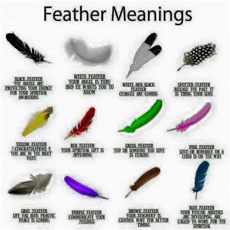 1000+ ideas about Feather Meaning on Pinterest | Feather ...