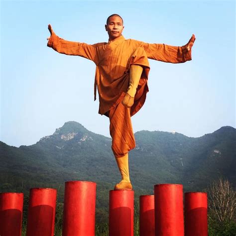 1000+ ideas about Shaolin Kung Fu on Pinterest | Kung fu ...