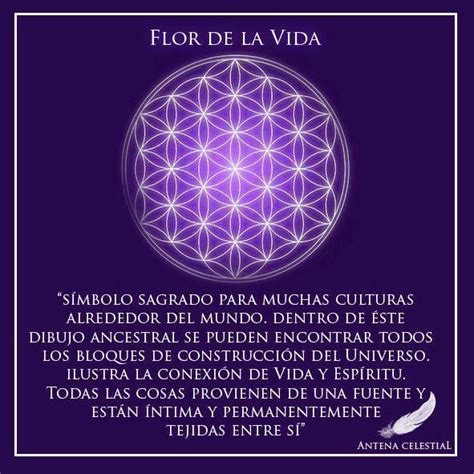 1000+ ideas sobre Flor De La Vida en Pinterest | Geometría ...