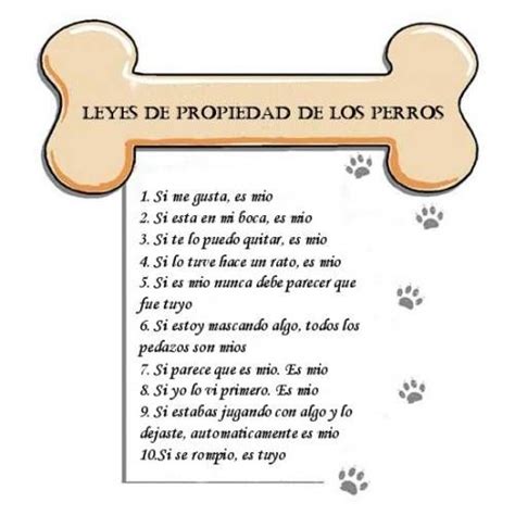 1000+ ideas sobre Frases Sobre Perros en Pinterest ...