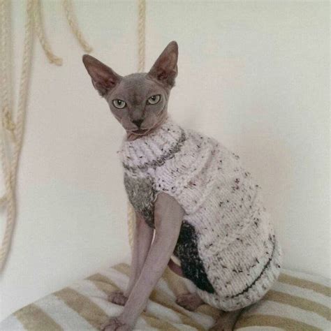 1000+ ideas sobre Suéteres De Gato en Pinterest | Garras ...