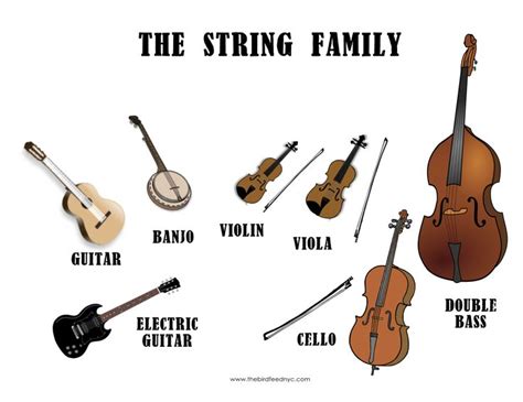 1000+ images about Different types of instruments on ...