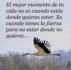 1000+ images about frases on Pinterest | Amor, No se and Dios
