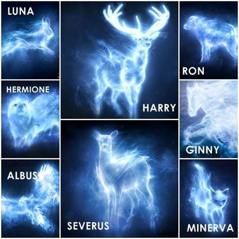 1000+ images about My patronus is a wolf on Pinterest ...