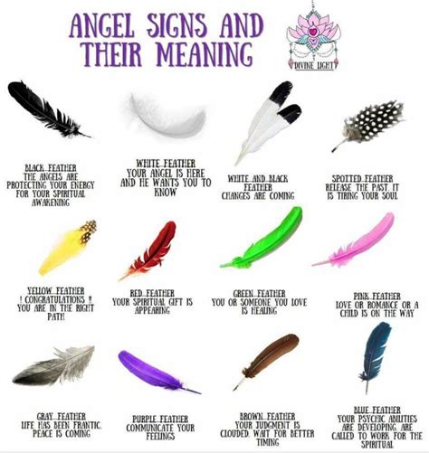 11:11 on Twitter:  Angel signs and their Meanings Feathers…