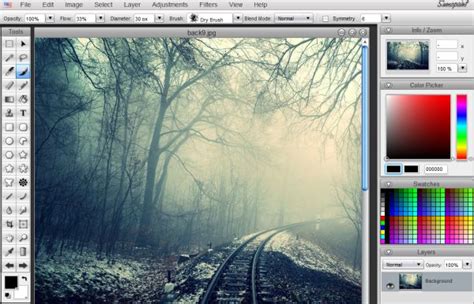 11 Online Picture Editors for editing images without ...