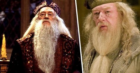 11 personajes de Harry Potter que fueron interpretados por ...