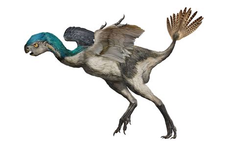 11 Terrifying Dinosaurs That Rocked Feathers Better Than ...