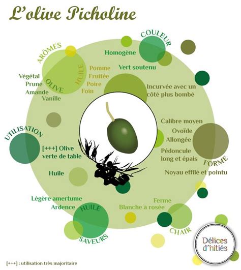 111 best Aceites & Aceitunas images on Pinterest | Aceites ...