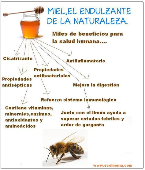 12 Beneficios de la miel