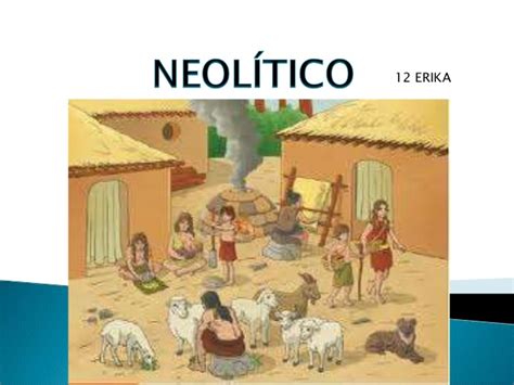 12 erika neolitico terminado